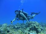 Hawaii Scuba divng 25