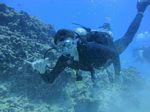 Hawaii Scuba divng 28