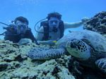 Hawaii Scuba divng 35