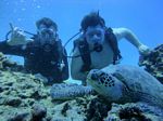 Hawaii Scuba divng 36