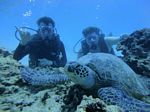 Hawaii Scuba divng 37