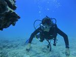 Hawaii Scuba divng 42