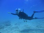 Hawaii Scuba divng 52