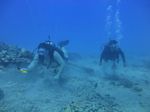 Hawaii Scuba divng 57