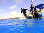 Hawaii Scuba divng 63