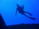 Hawaii Scuba divng 77