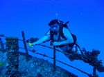 Hawaii Scuba divng 83