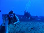 Hawaii Scuba divng 91