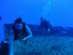 Hawaii Scuba divng 91