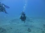 Hawaii Scuba divng 10