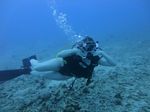 Hawaii Scuba divng 11