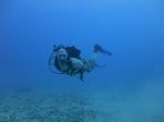 Hawaii Scuba divng 13