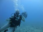 Hawaii Scuba divng 18