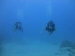 Hawaii Scuba divng 30