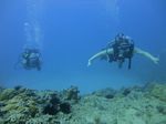 Hawaii Scuba divng 31