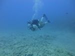 Hawaii Scuba divng 32