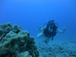 Hawaii Scuba divng 33