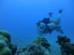 Hawaii Scuba divng 34