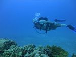 Hawaii Scuba divng 35