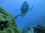 Hawaii Scuba divng 39