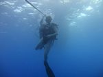 Hawaii Scuba divng 06