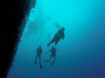 Hawaii Scuba divng 26