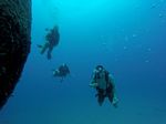 Hawaii Scuba divng 27