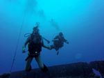 Hawaii Scuba divng 29