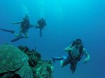 Hawaii Scuba divng 39