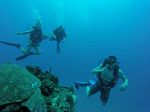 Hawaii Scuba divng 39