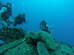 Hawaii Scuba divng 43