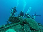 Hawaii Scuba divng 46