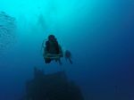 Hawaii Scuba divng 48