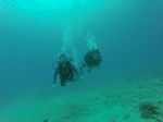 Hawaii Scuba divng 62