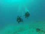 Hawaii Scuba divng 63