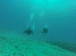 Hawaii Scuba divng 64