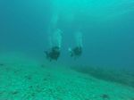 Hawaii Scuba divng 65