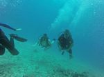 Hawaii Scuba divng 70