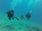 Hawaii Scuba divng 71