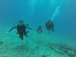 Hawaii Scuba divng 72