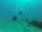 Hawaii Scuba divng 74