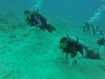 Hawaii Scuba divng 78