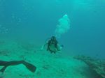 Hawaii Scuba divng 79