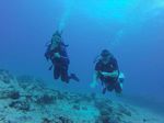 Hawaii Scuba divng 81