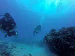 Hawaii Scuba divng 82