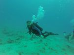 Hawaii Scuba divng 85