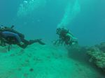 Hawaii Scuba divng 86