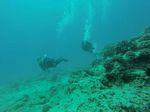 Hawaii Scuba divng 87