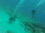 Hawaii Scuba divng 90