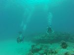 Hawaii Scuba divng 92